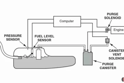 EVAP system leak?